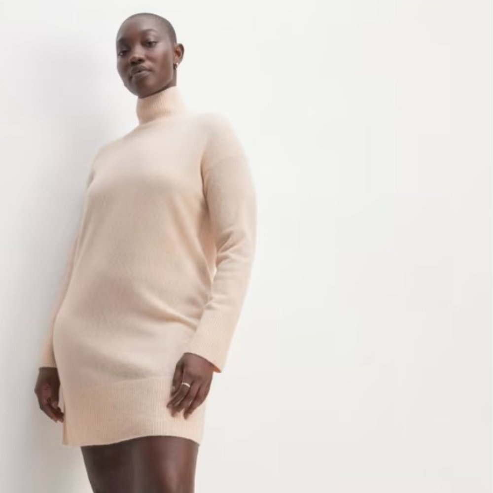 Everlane Cozy Stretch Turtleneck Dress